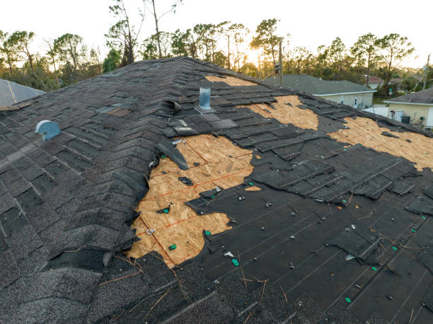Best Roof Maintenance and Cleaning  in Monroe, NC