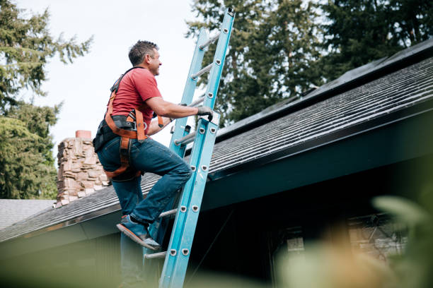 Best Roof Moss and Algae Removal  in Monroe, NC